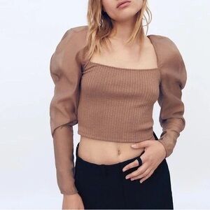 Zara Elegant Brown Puff Sleeve Top
